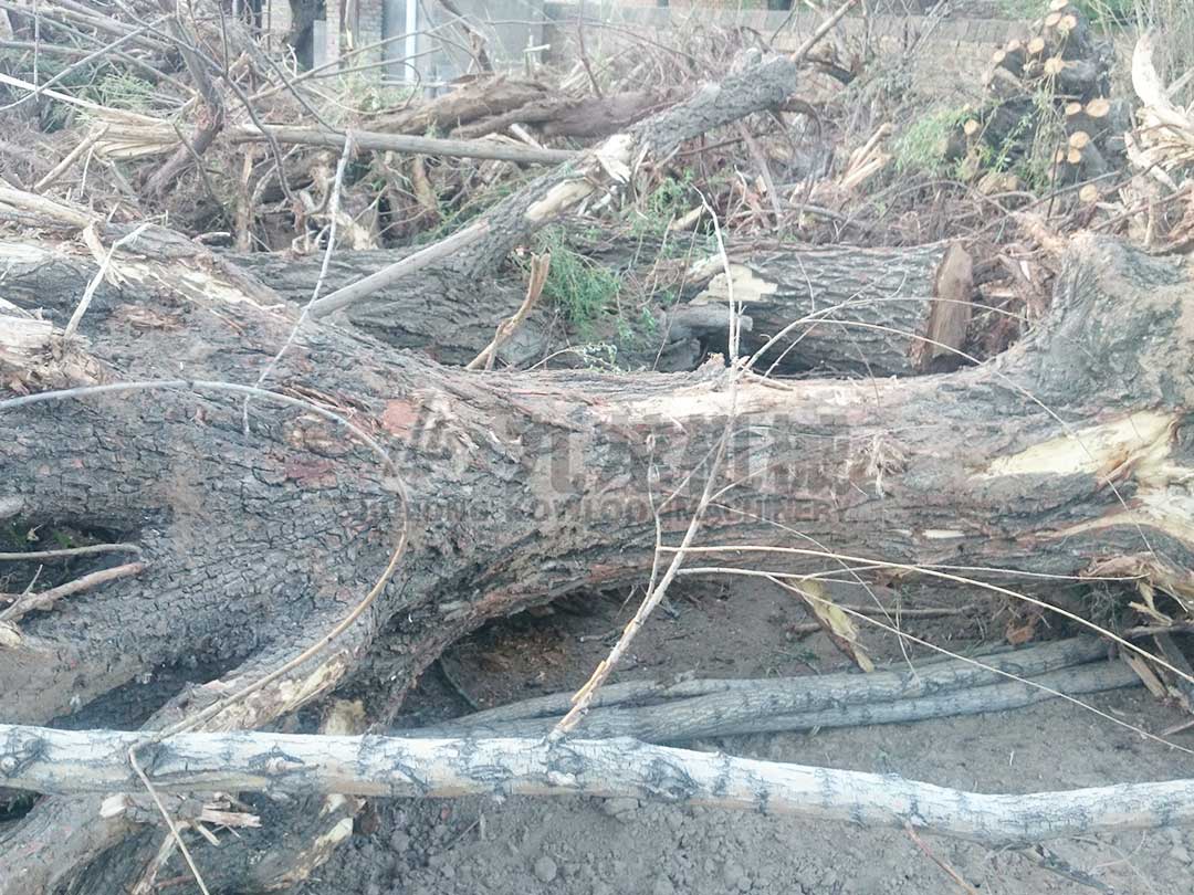 树根破碎机